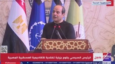 عاجل.. السيسي عن أزمة الكهرباء: نحتاج مازوت بـ350 مليون دولار شهريا (فيديو)