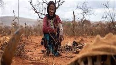 الأمم المتحدة تُحذر من آثار تغير المناخ على ضحايا النزاعات الدولية شتاءً