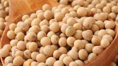 وصفات فول الصويا الغنية بالبروتين لوزن مثالي.. المقادير وطريقة التحضير 