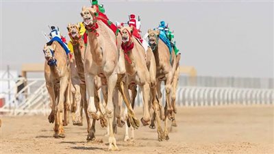 غدًا.. انطلاق أشواط الـ 