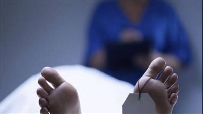 خلافات بينهما.. تفاصيل التحقيق مع عامل لقتله آخر طعنا بالسكين في أوسيم