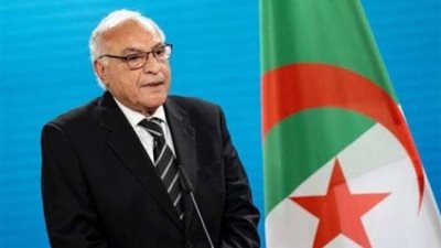 بين الإرهاب وموجات اللاجئين.. الجزائر تعلن مبادرة جديدة لحلحلة أزمة النيجر