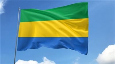 خبير في الشأن الإفريقي: ما يحدث في الجابون والنيجر سيؤثر على أسعار النفط 