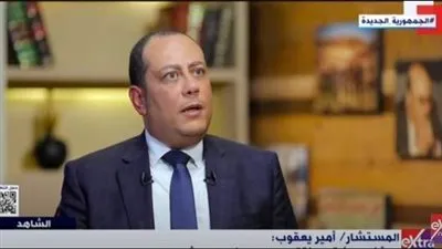 نائب رئيس مجلس الدولة: طلبت الإشراف على الانتخابات في العريش لتأكيد سيادة الدولة