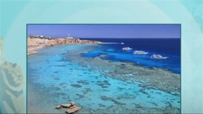 بعد تصنيفها من أجمل الشواطىء.. خبير: هضبة أم السيد تستقبل سياح من كل دول العالم (فيديو)