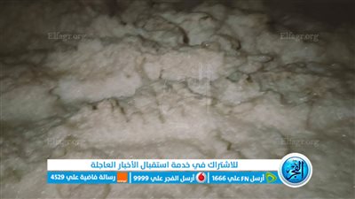 ظاهرة زبد البحر تخطف قلوب المصطافين على شاطئ بورسعيد (فيديو وصور)