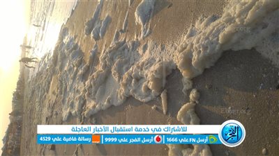 كل ما تريد معرفته عن زبد البحر بعد ظهوره على شواطئ بورسعيد