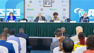 وزير الري يترأس جلسة 