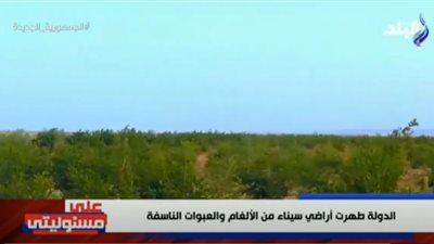 أحمد موسى: الجيش طهر سيناء من الألغام وزرع 750 ألف فدان (فيديو)