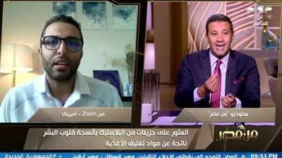 بعد اكتشافها بقلب مريض.. باحث يحذر من النانو بلاستيك: 