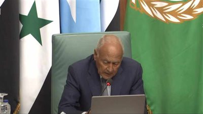 أبو الغيط: العالم العربي يحظى بحصة الأسد في واردات اليابان من النفط 