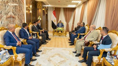 وزير الإنتاج الحربي يستقبل مسؤول شركة 