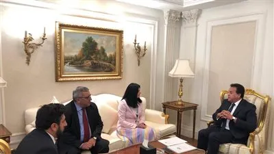 وزير الصحة يبحث التعاون مع شركة GMCSI البريطانية في مجال التعليم الطبي المهني