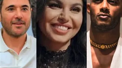 نسرين أمين: 