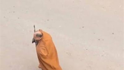 جنايات بورسعيد تنظر محاكمة 