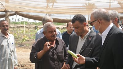 بمناسبة عيد الفلاح.. محافظ القليوبية يتفقد عددا من الصوب الزراعية بمدينه بنها