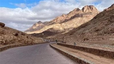 محمد موسى: سيناء التي سالت عليها دماء شهدائنا لن تكون مرتعًا لأحد