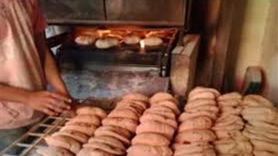 ضبط 20 طن دقيق و5 طن سكر مجهول المصدر وتحرير 205 محضر تمويني بالمنوفية