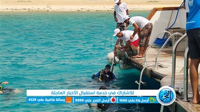 بمشاركة 200 غطاس مصري وأجنبي.. حملة لمكافحة النفايات وحماية البيئة خلال يوم التنظيف العالمي (صور)