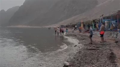 شواطئ دهب خالية بعد تداول فيديو عن هجوم سمكة قرش في 