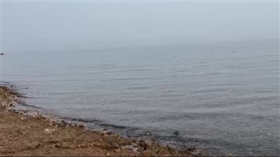 ننشر التفاصيل للكاملة لهجوم قرش على شاطئ اللاجونا في دهب 