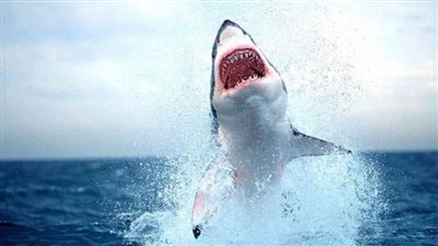 من زلزال المغرب لـ 