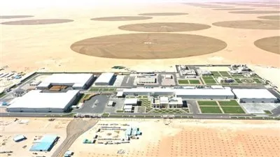 ما لا تعرفه عن مصنع البطاطس بشرق العوينات (صور)