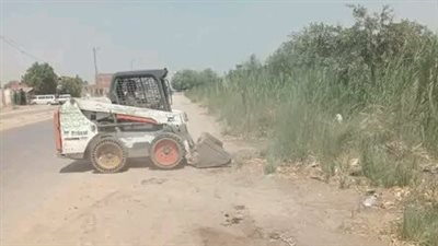 حملة نظافة وإزالة حشائش الغابات بطريق مصر أسيوط الزراعي بمركز العياط 