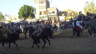 «أناشيد وذكر».. أبرز مظاهر الاحتفال بالمولد النبوي الشريف في الصعيد