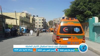 تفاصيل طعن صاحبة فرقة موسيقية ونجلتيها في الدقهلية 