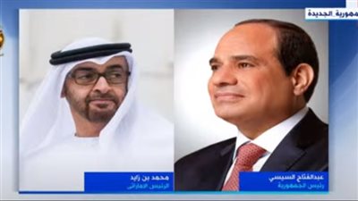 عاجل.. الرئيس السيسي يتلقى اتصالا هاتفيا من نظيره الإماراتي