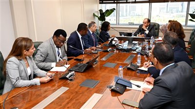  البنك الأفريقي: مصر تمتلك كافة المقومات التجارية والاستثمارية لتعزيز التبادل التجاري مع القارة الإفريقية