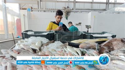 أسعار السمك اليوم.. البلطي ينخفض من جديد 