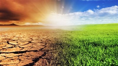 صرخة حاملي الدكتوراه بـ 