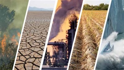 بسبب التغيرات المناخية.. مستشار وزير الزراعة يفجر مفاجأة بشأن حالة الطقس 