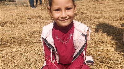 محافظ بورسعيد يشهد موسم حصاد الأرز.. والمزارعون: الخير مالي الأرض