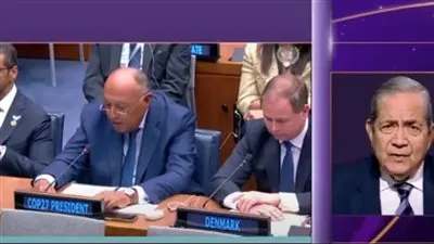 دبلوماسي سابق: سامح شكري يحمل حقيبة مليئة بكل ما يخطر على البال خلال زيارته نيويورك (فيديو)