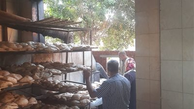 تموين المنوفية: تحرير 209 محضر تمويني 