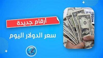مباشر الآن Dollar Price.. سعر الدولار اليوم الجمعة 22-9-2022 مقابل الجنيه المصري 