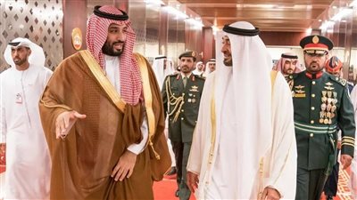 رئيس الإمارات: لقاء ولي العهد السعودي مع 