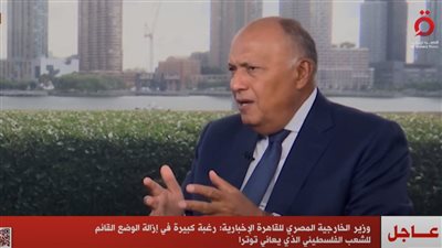 وزير الخارجية: الجمعية العامة للأمم المتحدة تنعقد في ظروف دولية شديدة الخصوصية