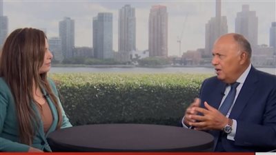 سامح شكري: مساع حثيثة لإعادة القضية الفلسطينية إلى الساحة الدولية