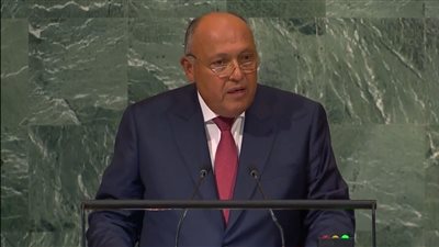 وزير الخارجية: حل القضية الفلسطينية ليس في تصفيتها بالعمليات العسكرية أو التهجير (فيديو)