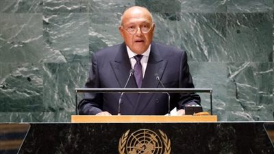 سامح شكري: محاولات تصفية القضية الفلسطينية بالتهجير القسري أمر مرفوض