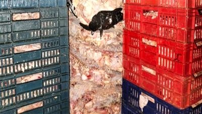 محافظة الجيزة تضبط 10 طن مصنعات لحوم ودواجن غير صالحة 