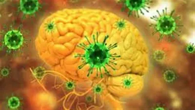 تحذيرات من تفشي فيروس نيباه القاتل بالهند