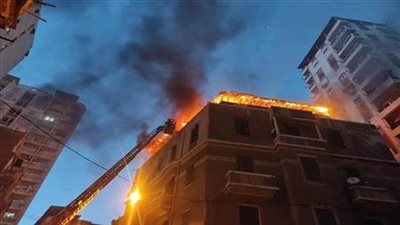 شهامة طالب.. 