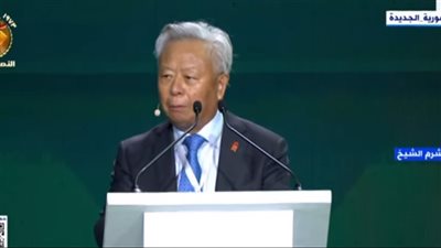 رئيس البنك الآسيوي للاستثمار: مصر هي موطن الرؤى الكبرى والأحلام