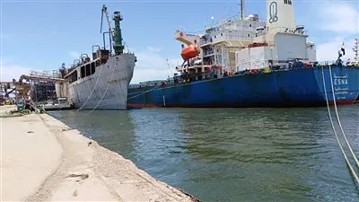 وصول 63 ألف طن قمح روسي لميناء سفاجا