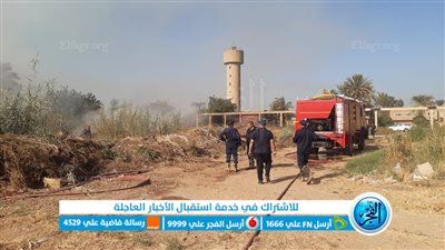 إخماد حريق شب بحشائش خلف مصنع النسيج ببني سويف (صور)